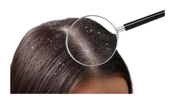 Untitled design (12)